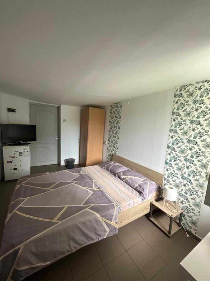 Camere De Inchiriat David Casa David コルブ エクステリア 写真