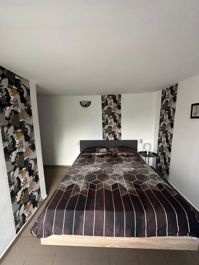 Camere De Inchiriat David Casa David コルブ エクステリア 写真